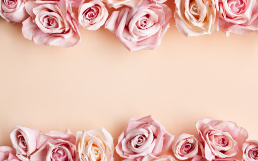1452673 (a): :2880x1800